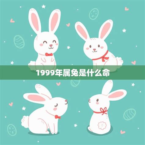 1999兔|99年属兔的是什么命？属兔人命运解析及性格特点